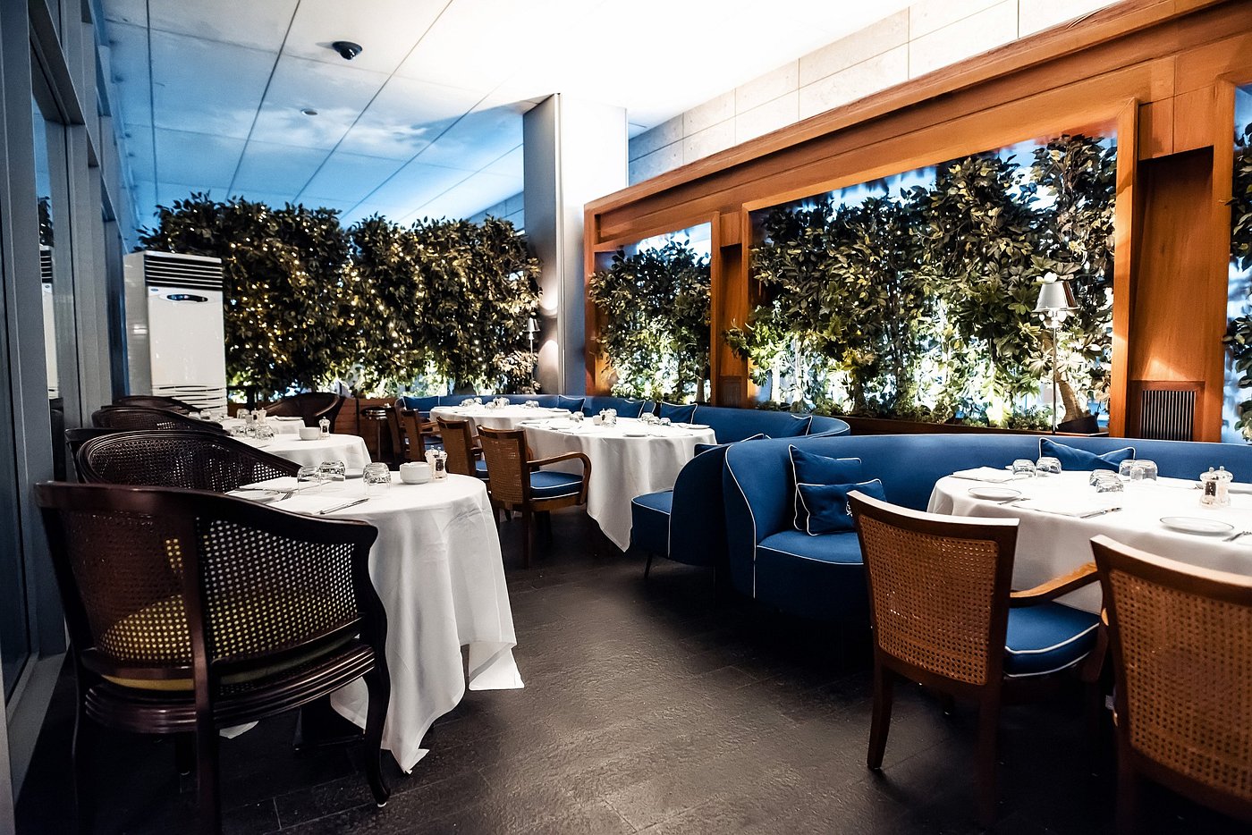 Cipriani - Photo 3